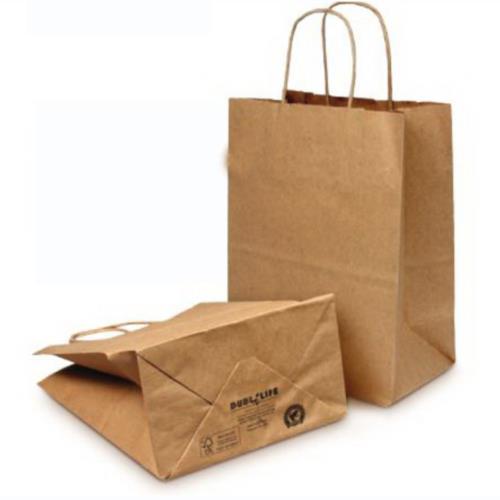 PAPER BAG 10X6.75X12 KRAFT DURO 250/CS