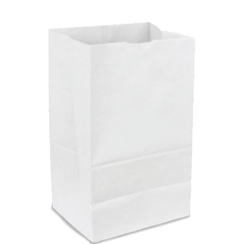 PAPER BAG 5# WHITE STANDARD 500/CS 51045