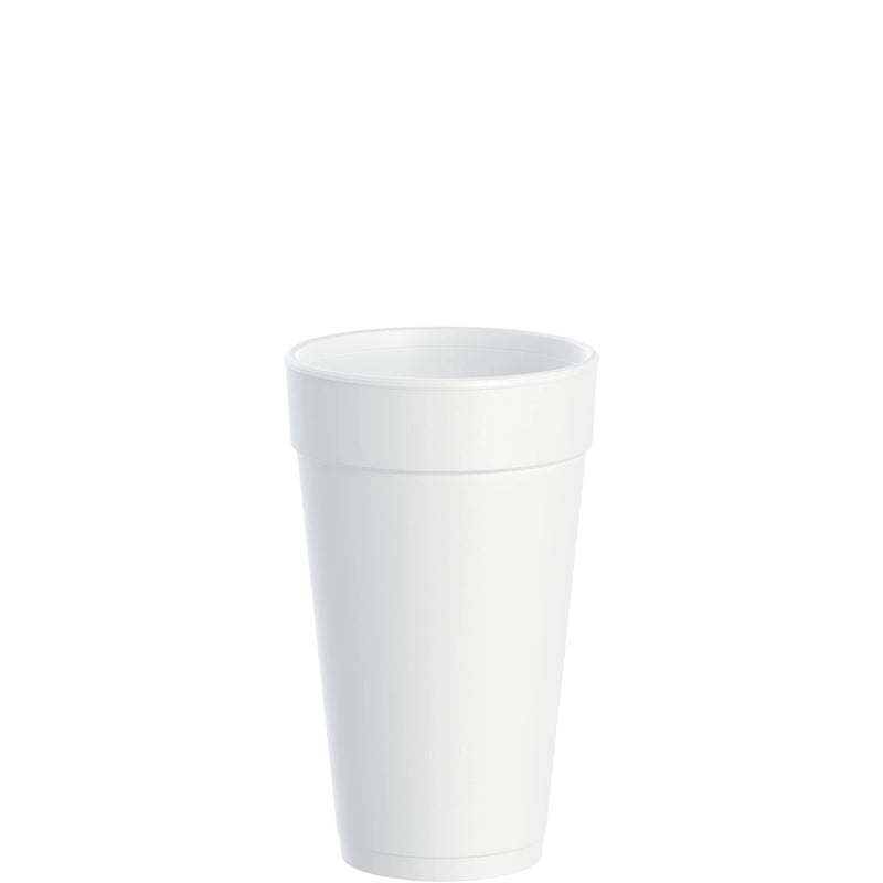 FOAM CUP 20 OZ 20J16 500/CS