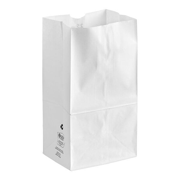 PAPER BAG 25LB TALL WHITE 500/CS